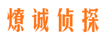 大通市场调查